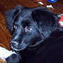 Sissy was adopted in April, 2006